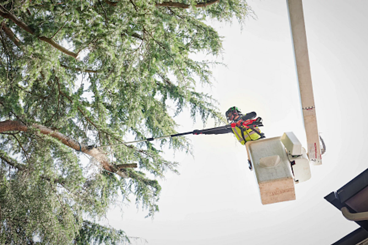 Milwaukee Tool Announces New M18 FUEL Telescoping Pole Saw From: Milwaukee Tool Corp. - Vimarsana News