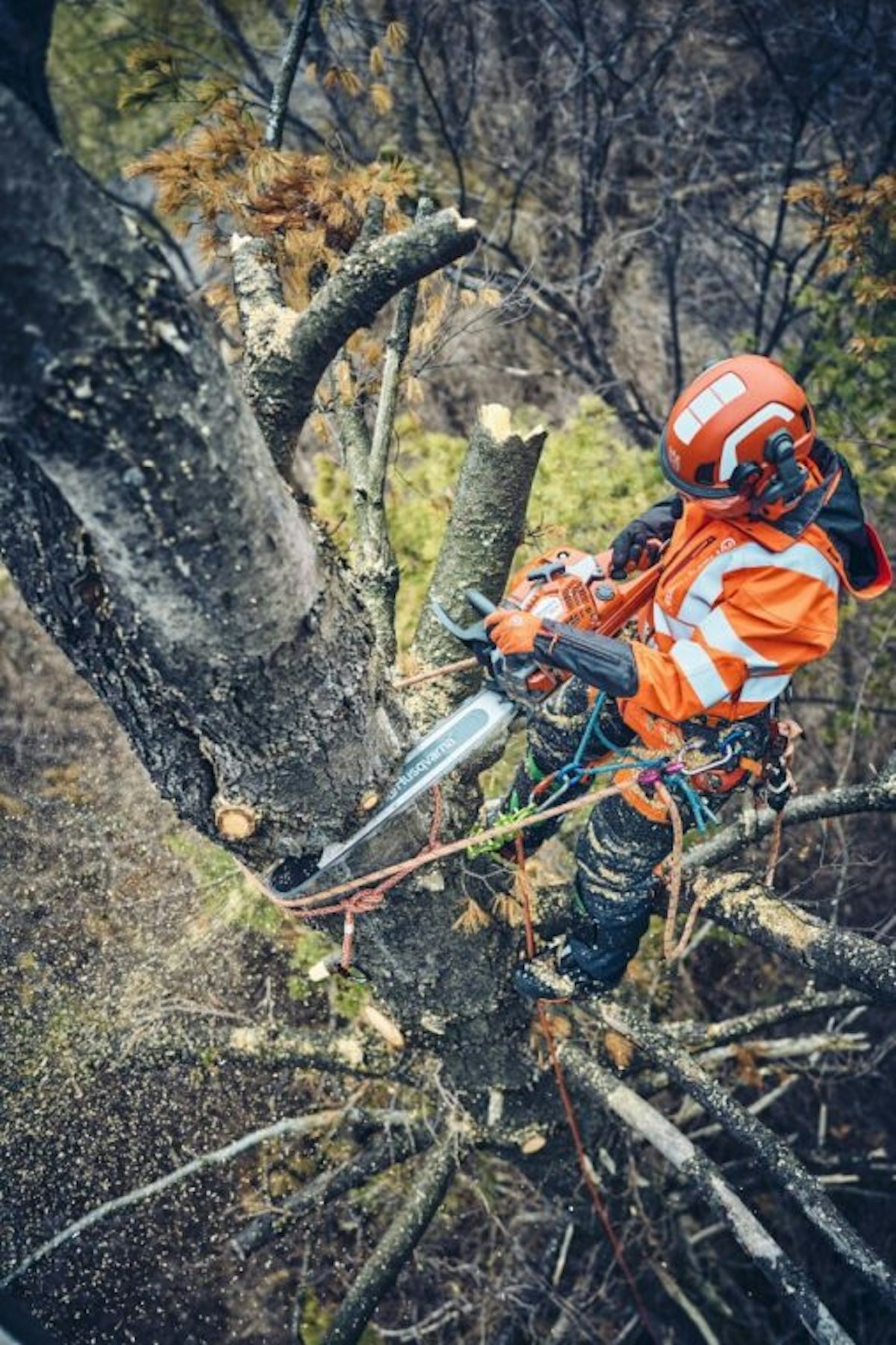 Husqvarna Introduces Upgraded 562 Chainsaw From: Husqvarna