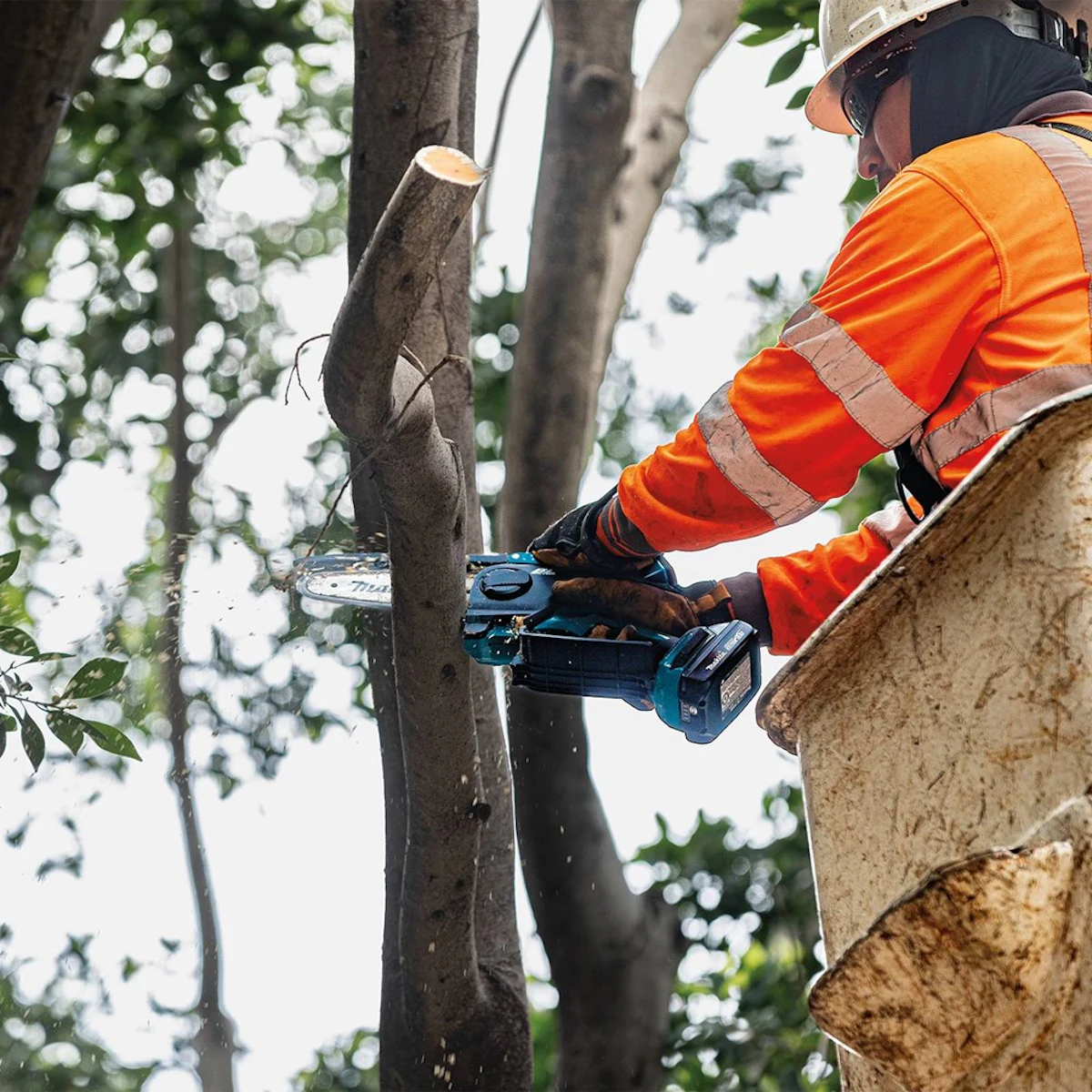 Makita Offers 18V LXT 6-in. Pruning Saw From: Makita USA, Inc. - Vimarsana News