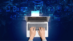 Adobe Stock 485903524