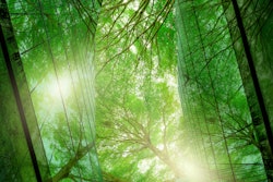 Local jurisdictions are also increasingly launching initiatives to implement low-embodied carbon construction programs.