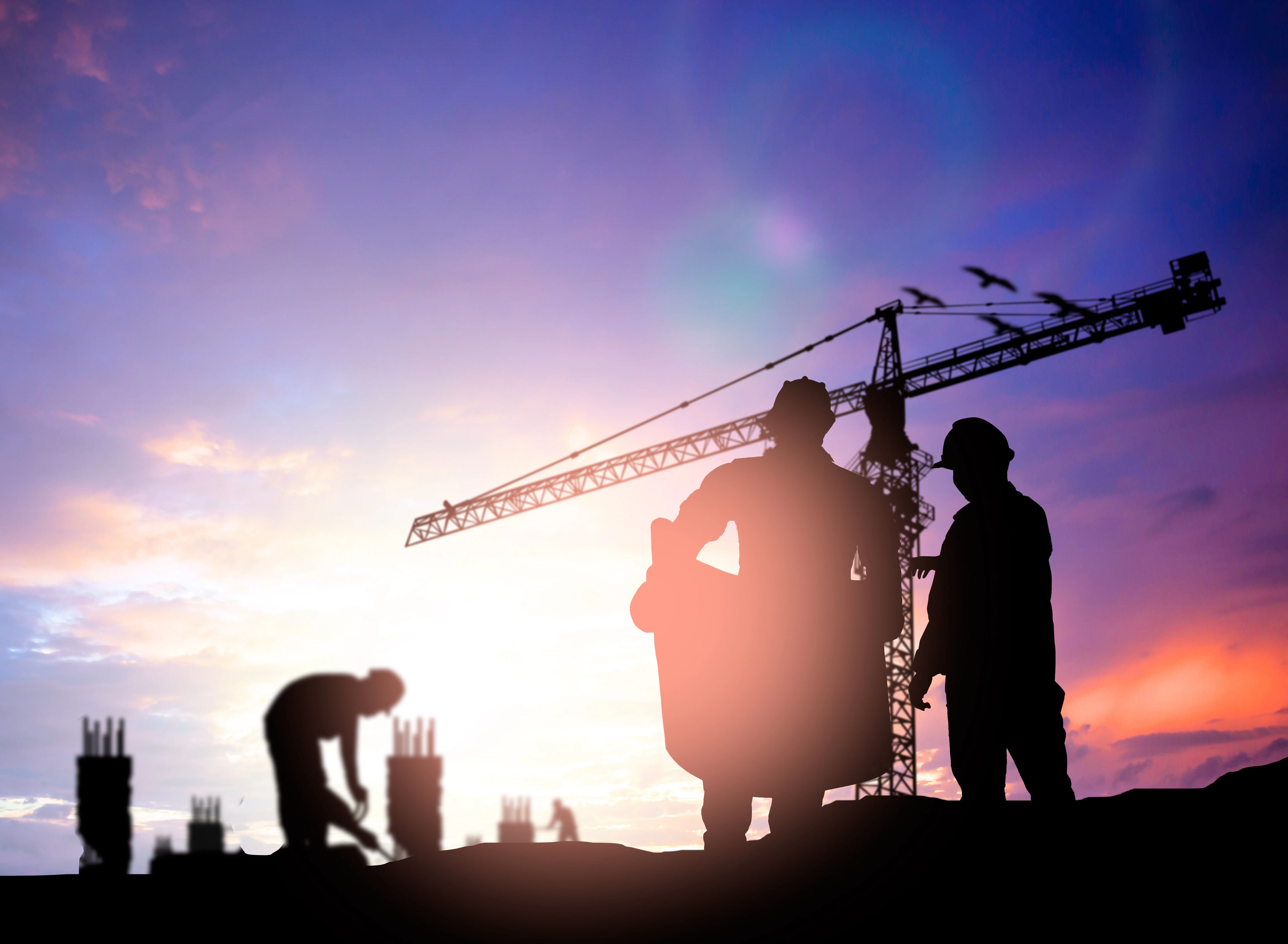 5 Trends in Construction Worker Background Checks - Vimarsana News