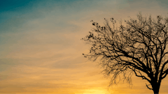 Bereavement Grief Support in the Aftermath of an Overdose Loss