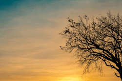 Bereavement Grief Support in the Aftermath of an Overdose Loss