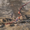 Protective systems are a key element in making sure your trenching and excavation site is safe. They’re required for trenches that exceed five feet in depth or aren’t cut entirely into stable rock.