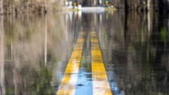 Adobe Stock 485255728