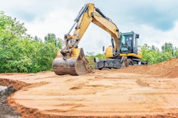Adobe Stock 248607748 Bermuda Cat