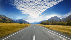 Adobe Stock 370476551