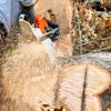 Adobe Stock 393220737