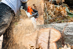 Adobe Stock 393220737