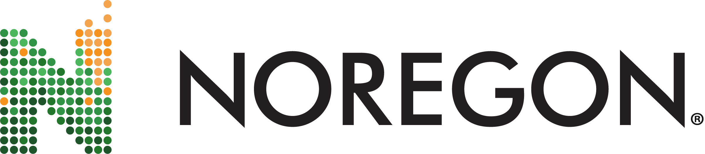 Noregon Hor Minimum Mark Full Color