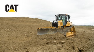 56548 Cat 320x180