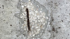 Microcracking and chloride ingress can lead to rebar corrosion and spalling — threatening the structural integrity of aging infrastructure.