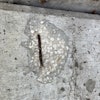 Microcracking and chloride ingress can lead to rebar corrosion and spalling — threatening the structural integrity of aging infrastructure.