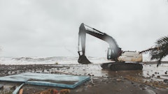 Evgeniya Primavera Adobe Stock 702716256