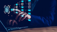 Lalaka Adobe Stock 582714290