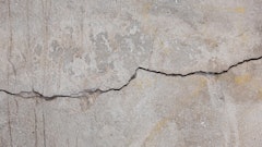 Cracks In Concrete (1) (1)
