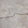 Cracks In Concrete (1) (1)