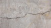 Cracks In Concrete (1) (1)