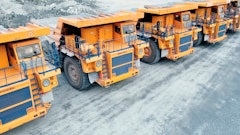 Olga Adobe Stock 1636064770