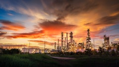 Adobe Stock 445853150