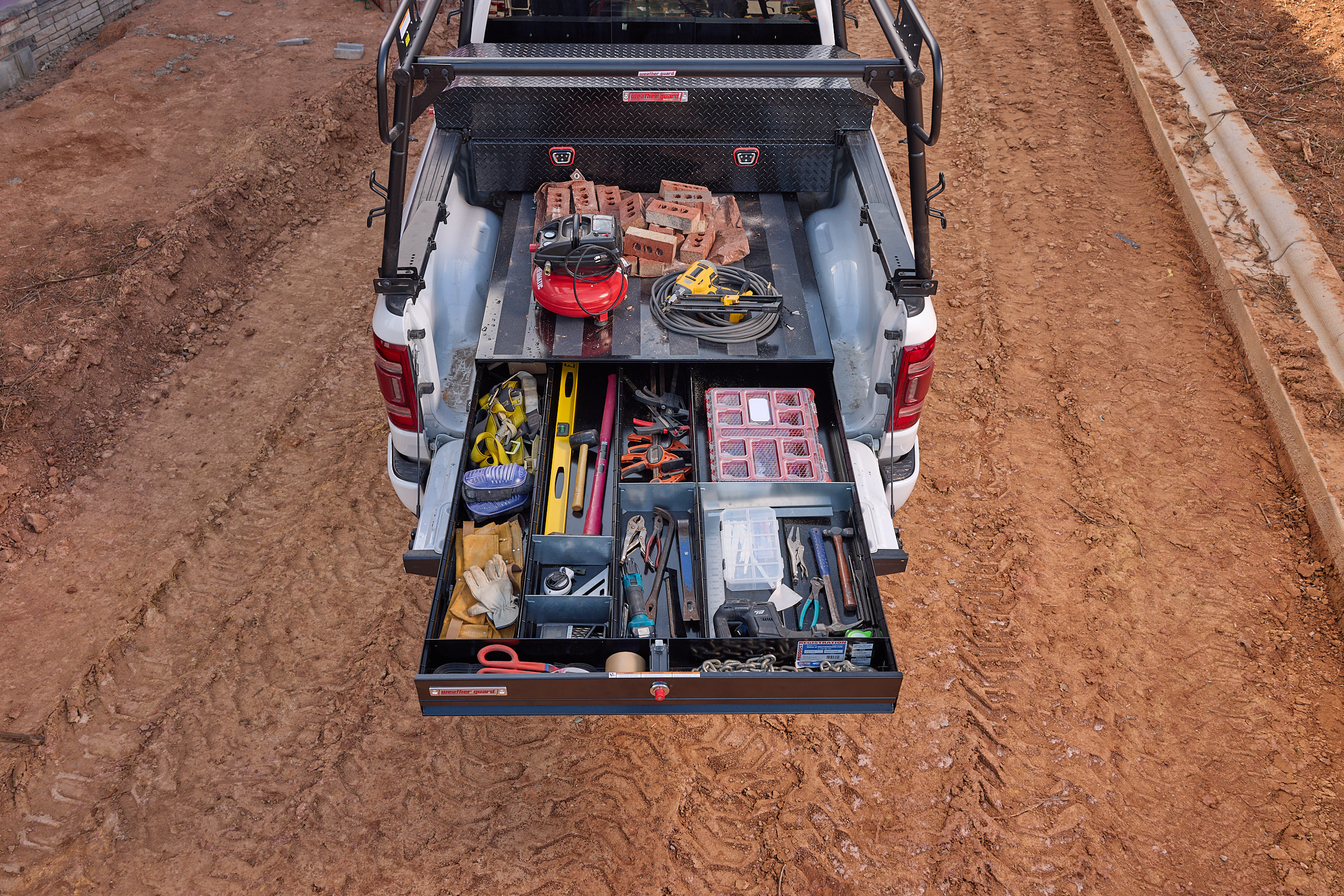 Pack Rat 1
