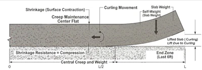 Figure c. Real curl shape: flat center, curvature concentrated at edges due to creep and gravity.