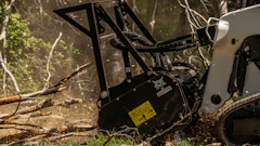 Bobcat Land Management