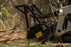 Bobcat Land Management