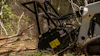 Bobcat Land Management