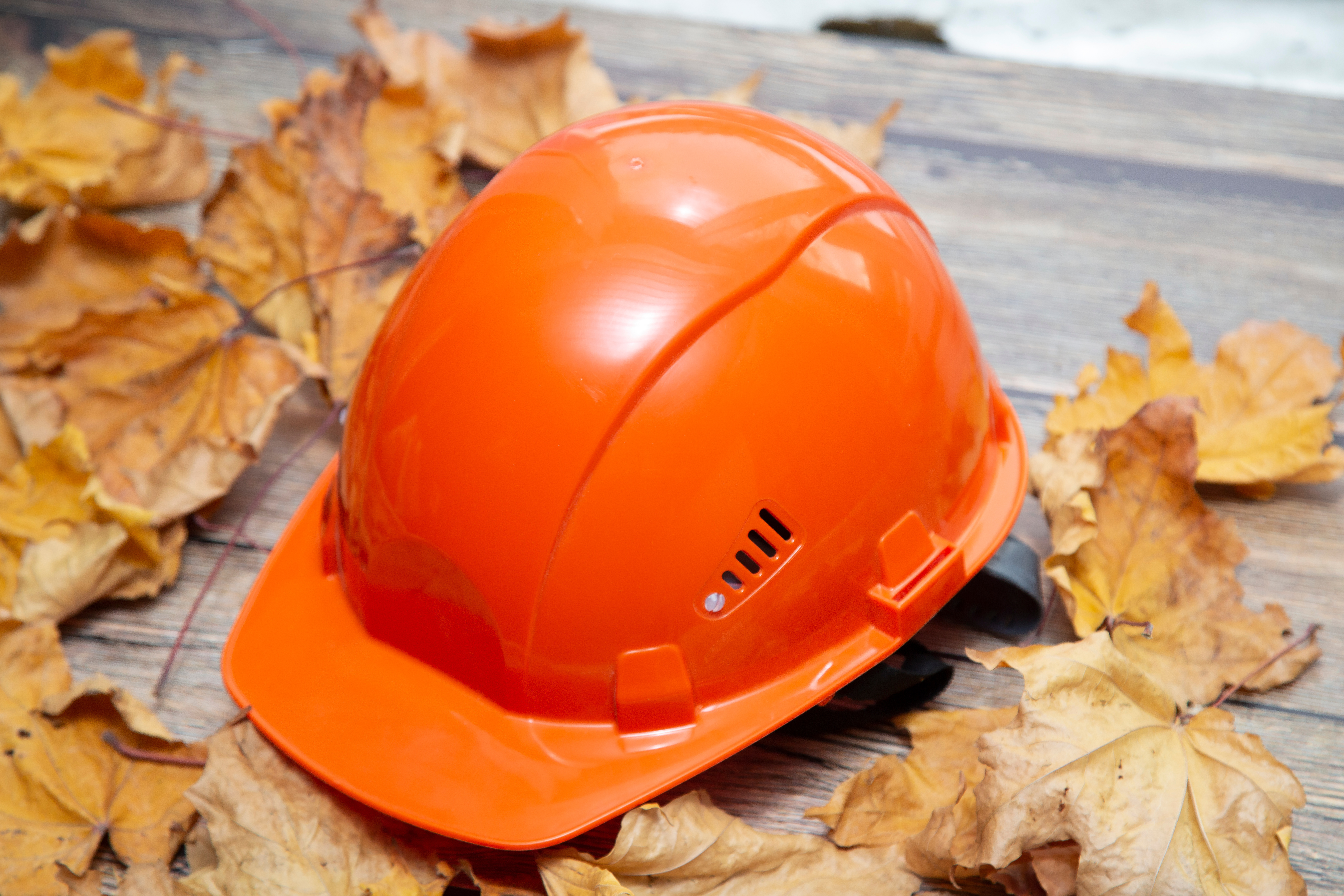 Bright orange safety hard hat surrounded by dried autumn leaves on weathered wood