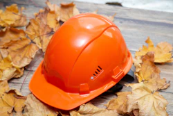 Bright orange safety hard hat surrounded by dried autumn leaves on weathered wood