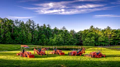 Red farm tractors and equipment lined up in a green field with forest trees under blue sky